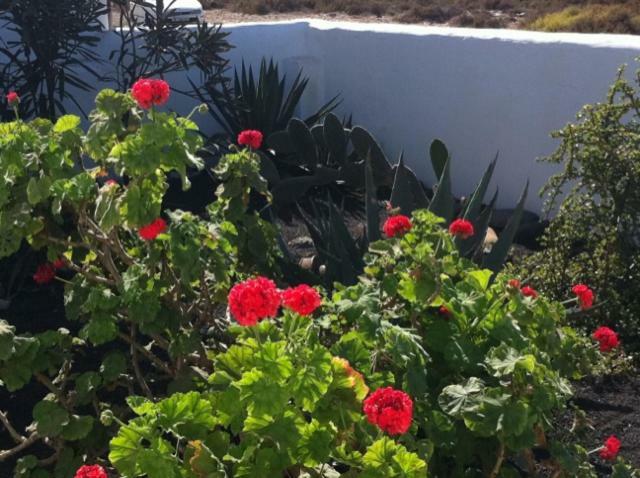 Casa Callao Famara Eksteriør billede